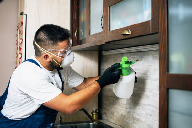 Best Wildlife Control Services  in Mechanicsburg, OH