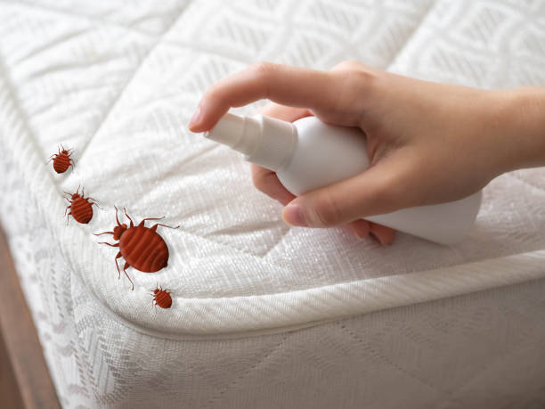 Best Pest Removal Services  in Mechanicsburg, OH
