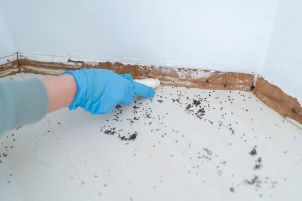 Best Pest Control for Businesses  in Mechanicsburg, OH